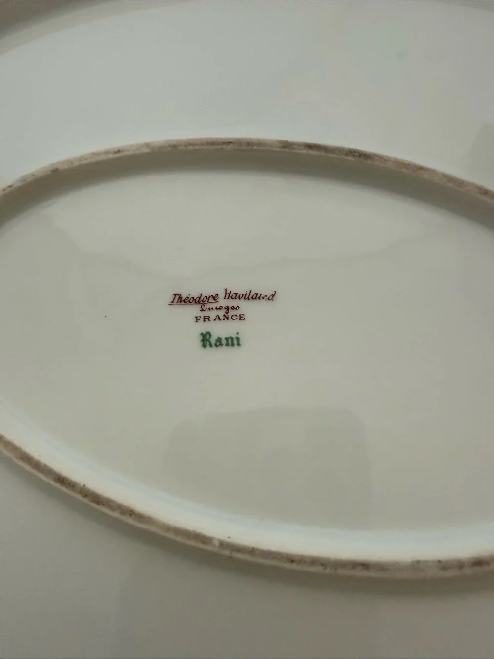 Antique Theodore Haviland Limoges France Oval Serving Platter “Rani”.